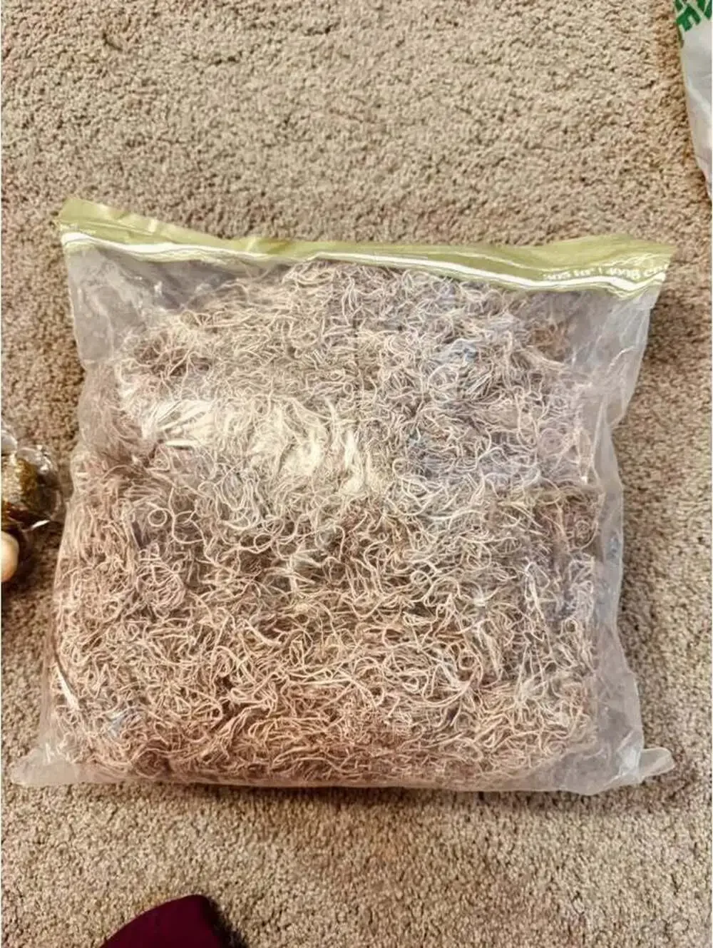 Spanish moss large bag